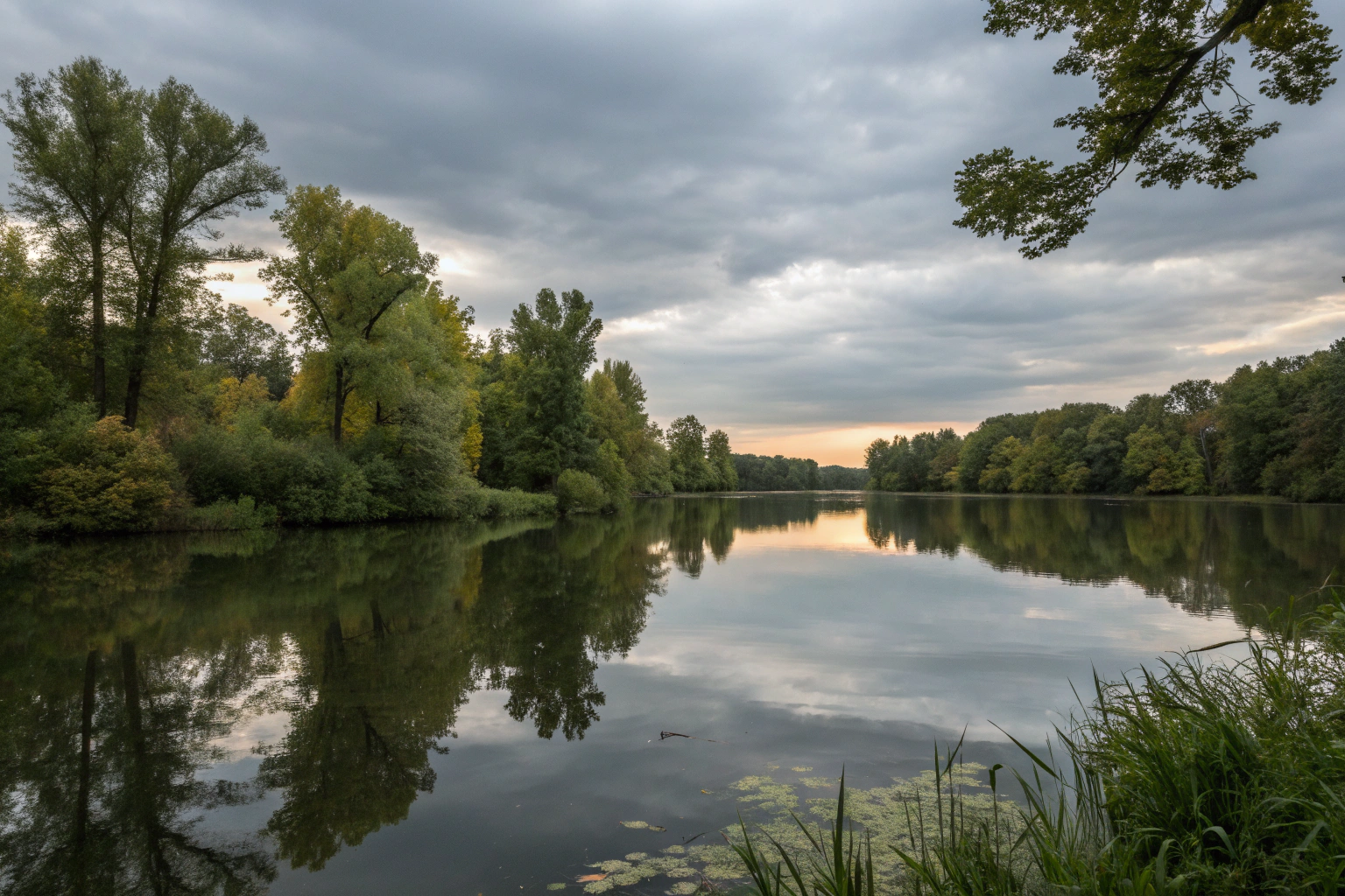 Top iPhone 15 Wallet Case Picks for Dog Lovers on the Go