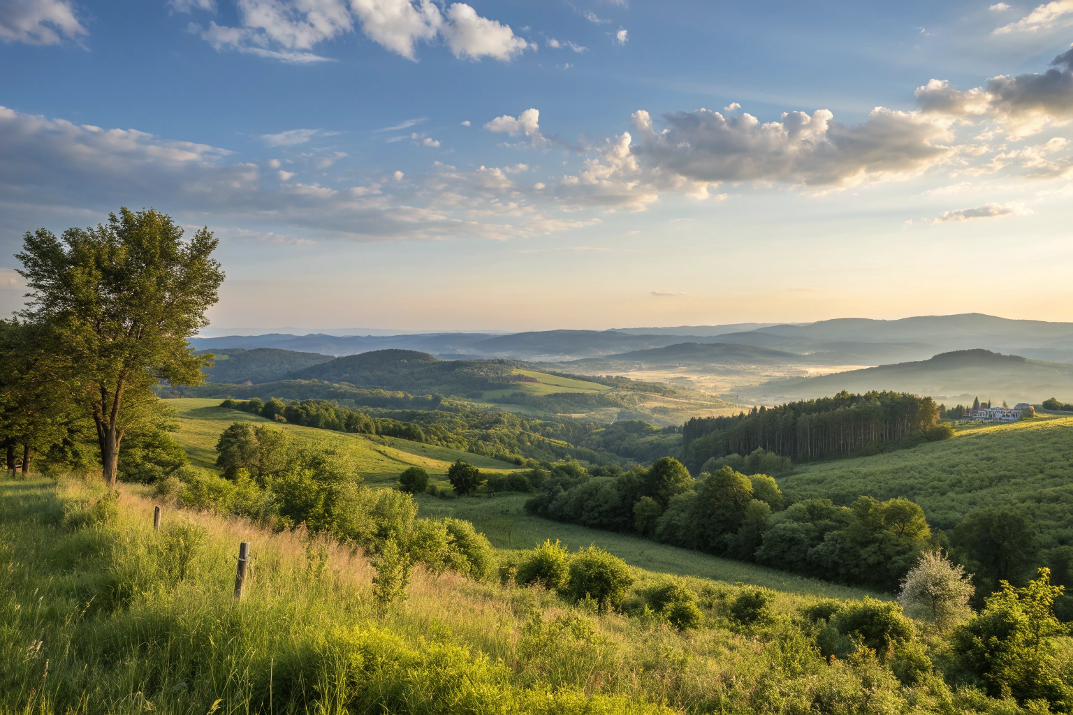 Top Wallets for iPhone: Stylish Picks for Dog Lovers