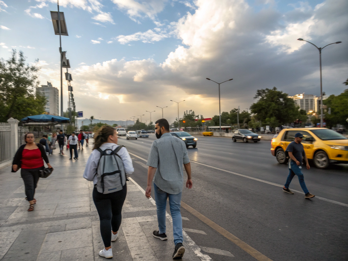 Best Flea Medicine for Dogs: Top Picks for Yak Chew Fans