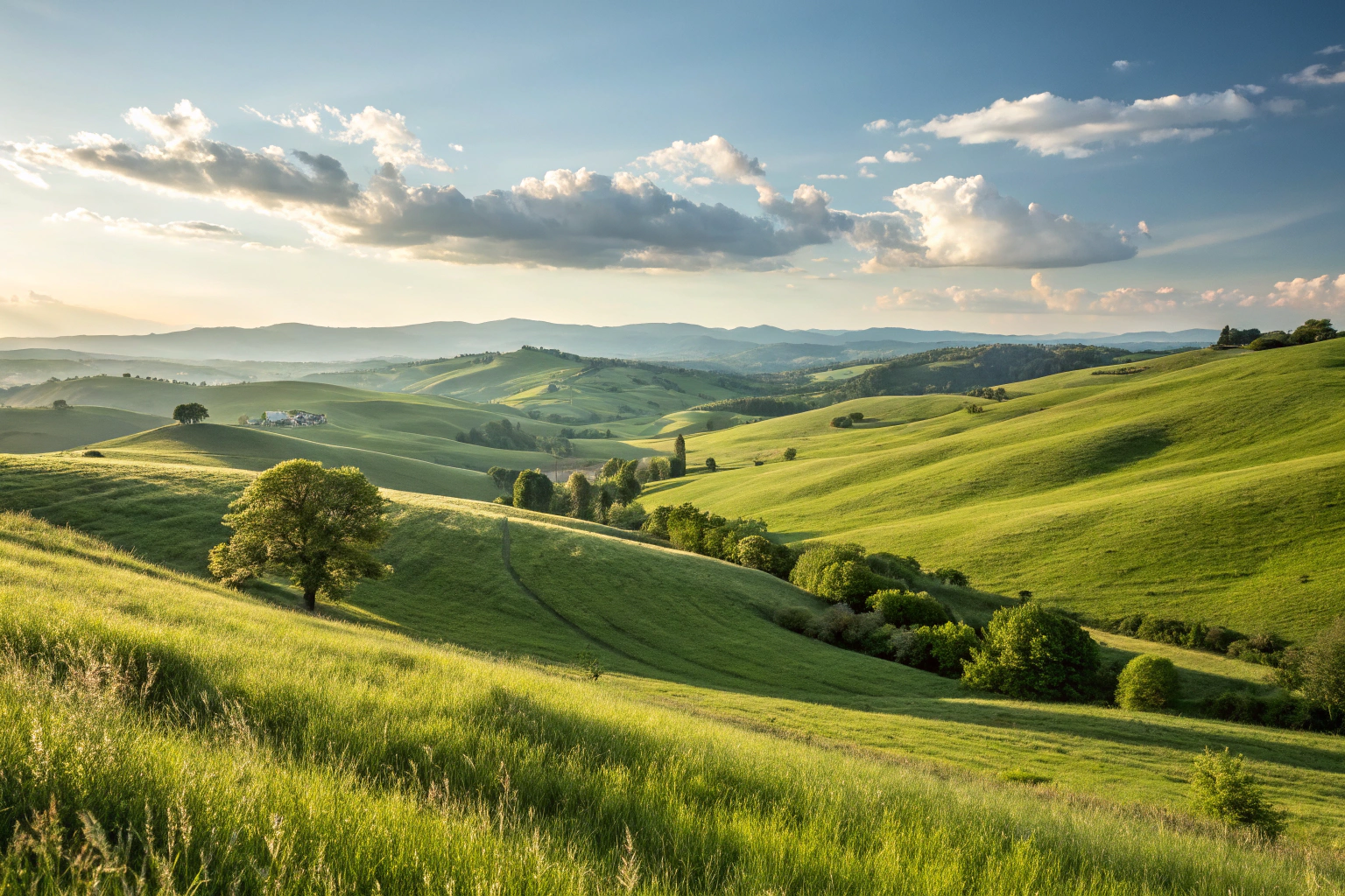 Top iPhone 16 Accessories Every Dog Lover Should Have