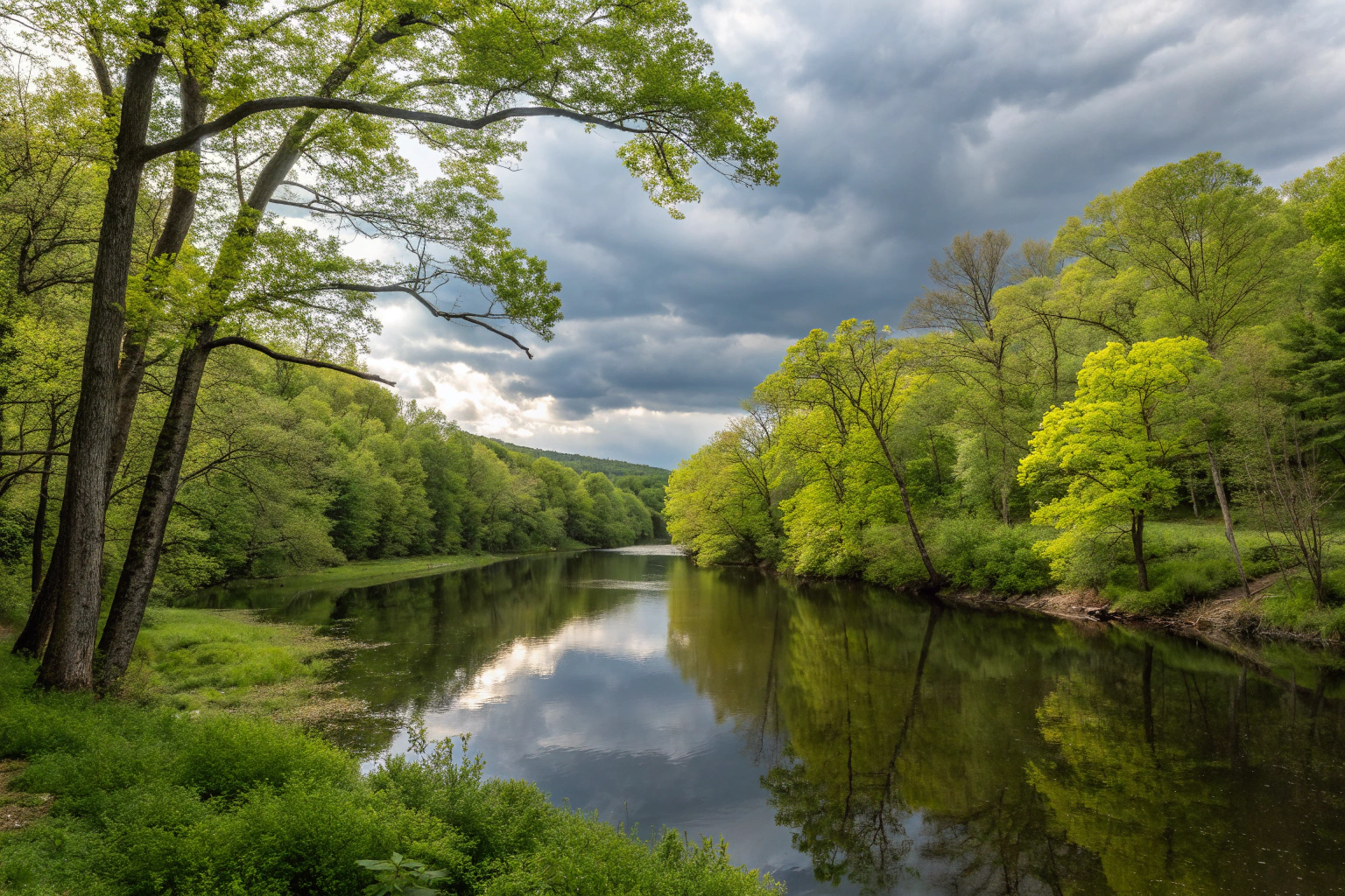 iPhone Wrist Strap: Secure Your Phone on Dog Walks