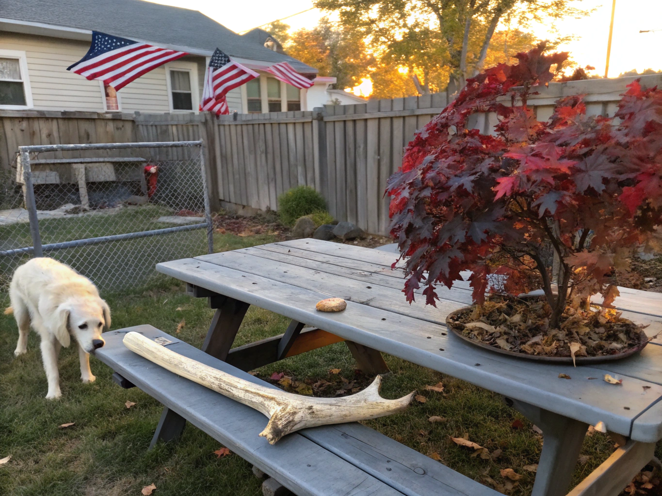 The Nutritional Value of Elk Bones for Dogs Explained