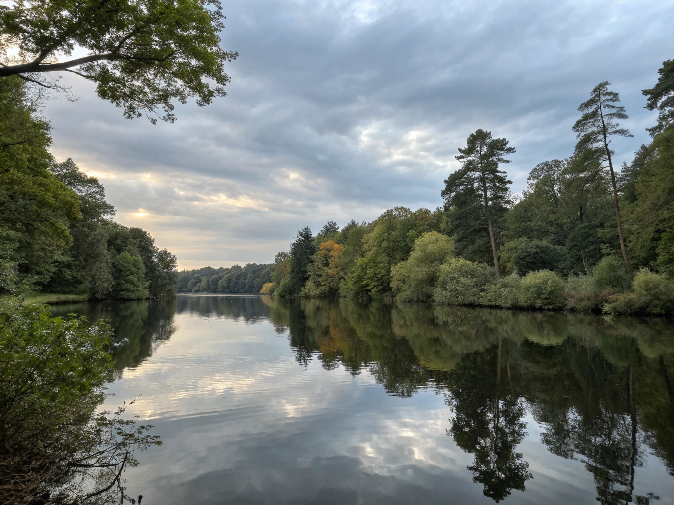 528 Hz Tuning Fork Benefits for Calm, Happy Dogs