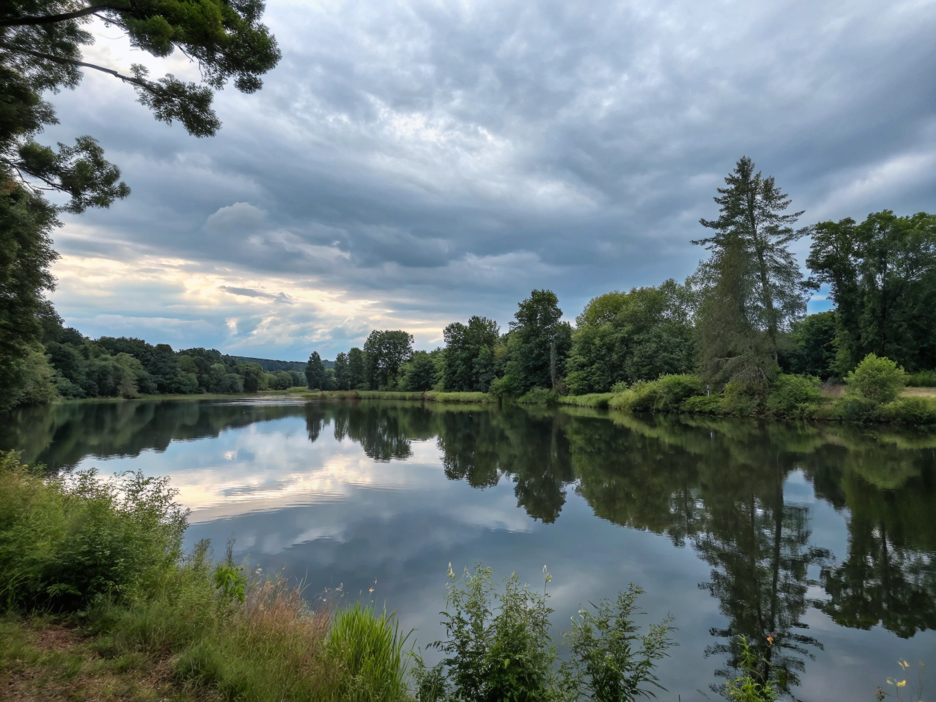 Best Grounding Mat for Dogs: Enhance Their Wellness Today